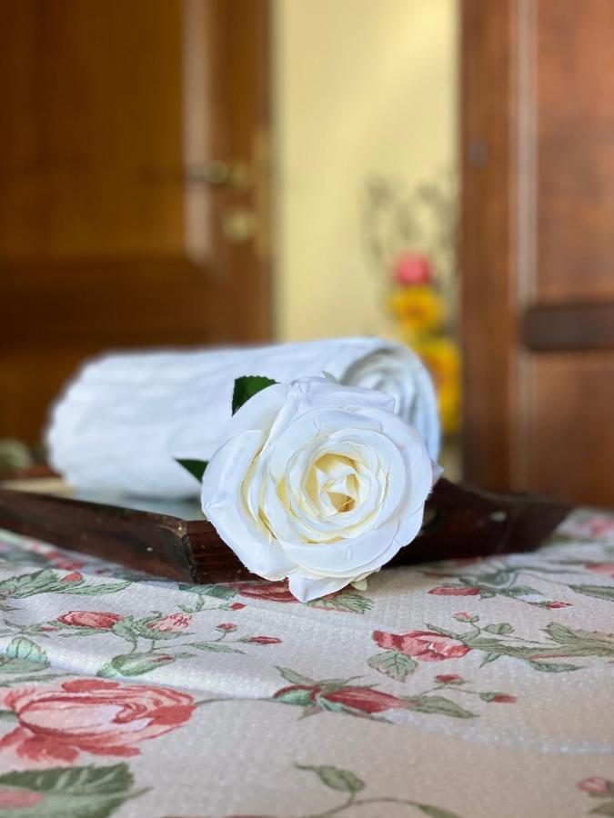 מונטאיונה Masso Alle Rose Di Santarsiero Serena מראה חיצוני תמונה