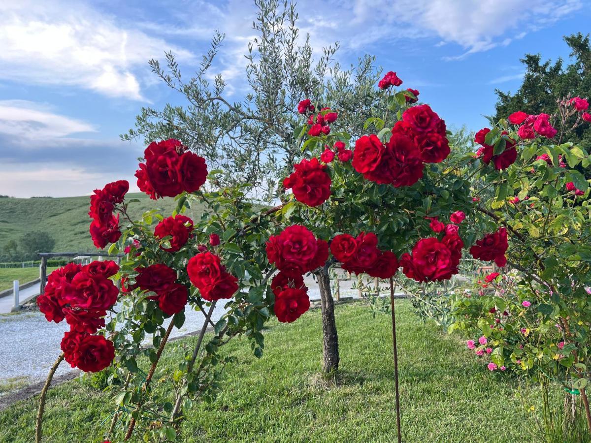 מונטאיונה Masso Alle Rose Di Santarsiero Serena מראה חיצוני תמונה